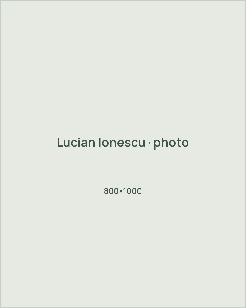 Lucian Ionescu team portrait placeholder · 800×1000