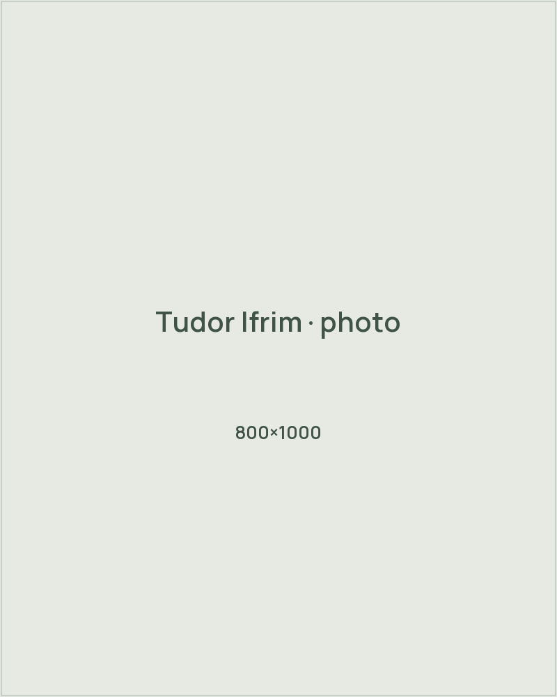 Tudor Ifrim team portrait placeholder · 800×1000